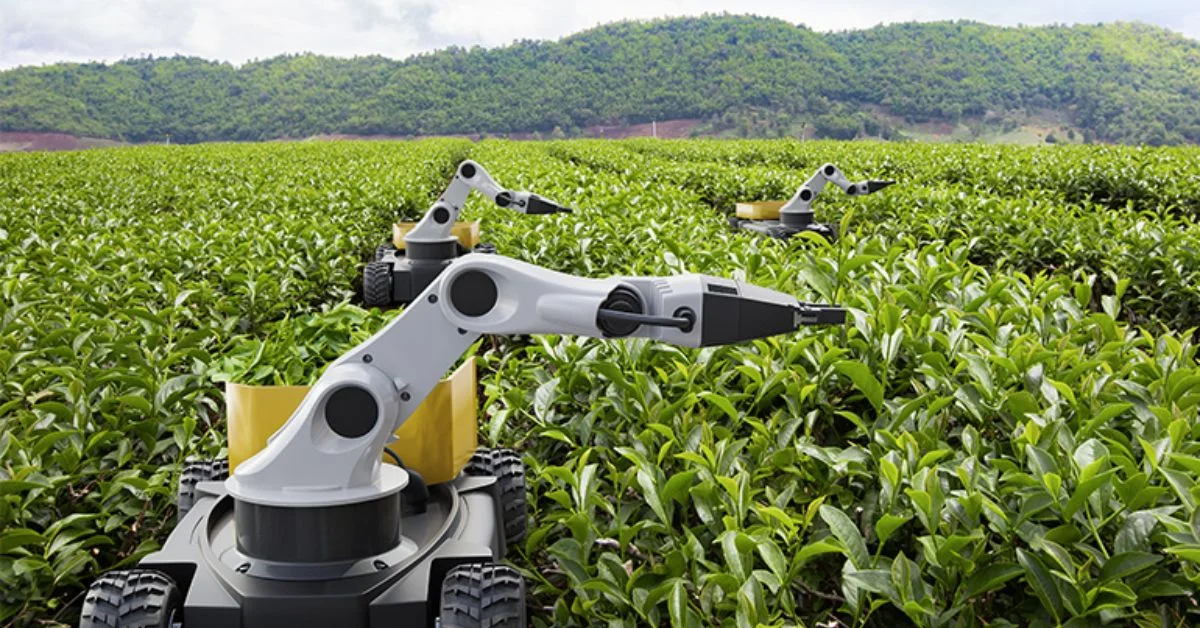 Artificial Intelligence Impact on Agriculture